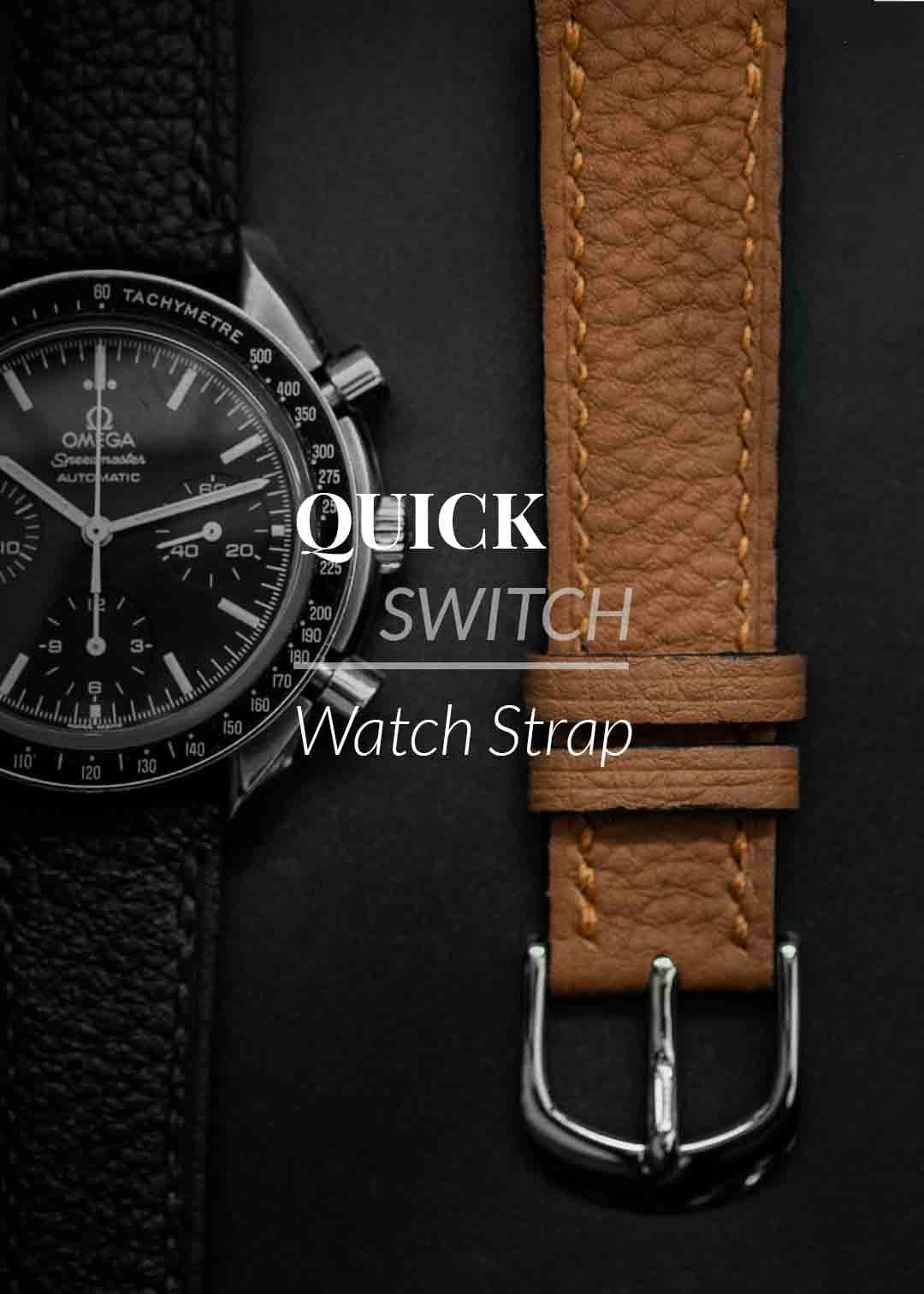 สายนาฬิกา quickswitch