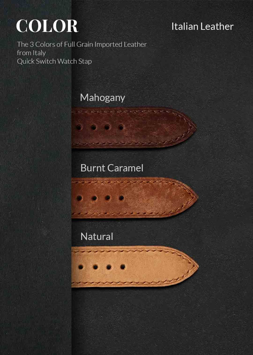 สายนาฬิกา quickswitch