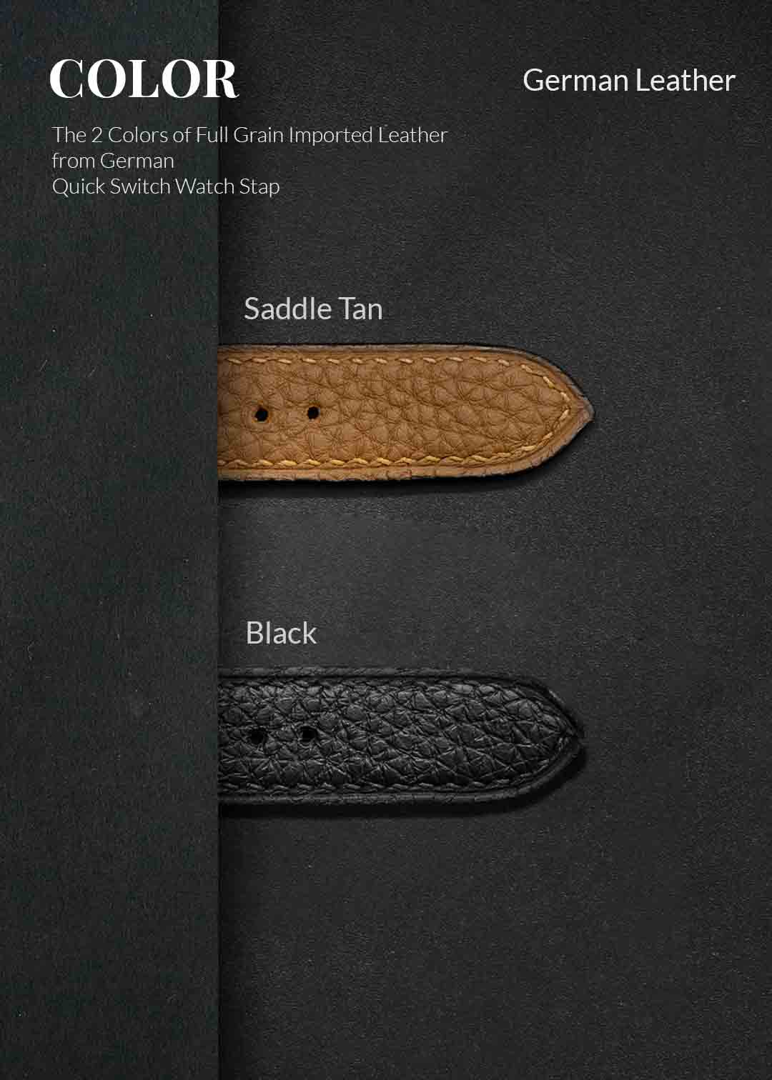 สายนาฬิกา quickswitch